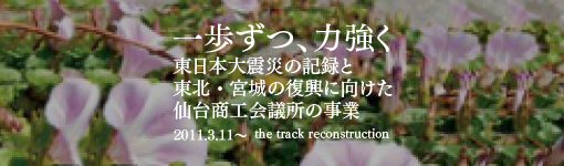 東日本大震災の記録と復興の一年の軌跡