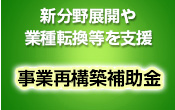 新分野展開や業種転換等を支援 事業再構築補助金